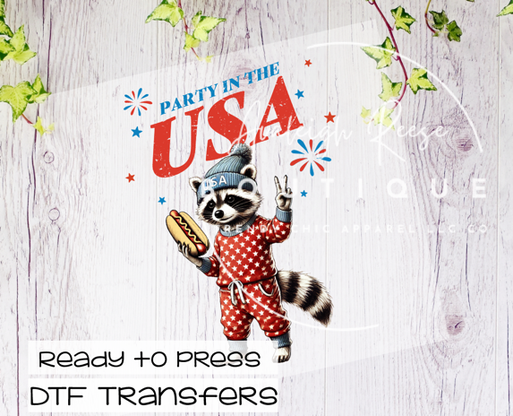 Party in the USA DTF Transfer