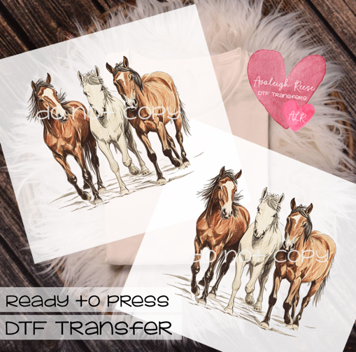 Horses DTF Transfer