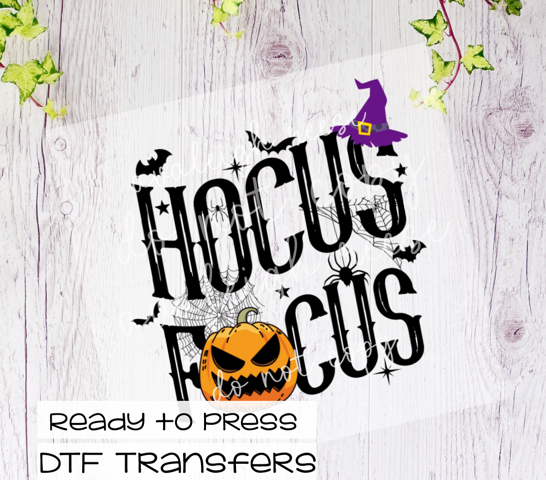 Hocus Focus Teacher Transfer