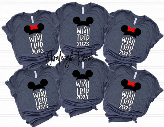 Disney Wish Trip Family Shirts, Disney Trip Shirts, Custom Family Disney Shirts, Disneyworld Shirts Family 2023